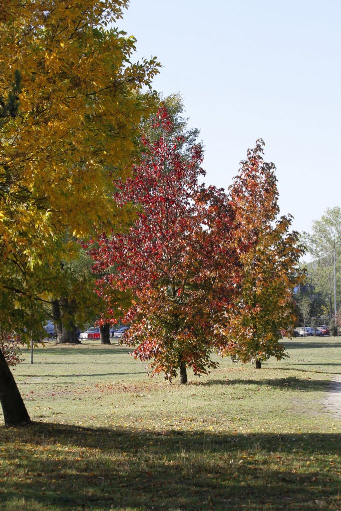 Au bord du lac en automne3 by danwesson