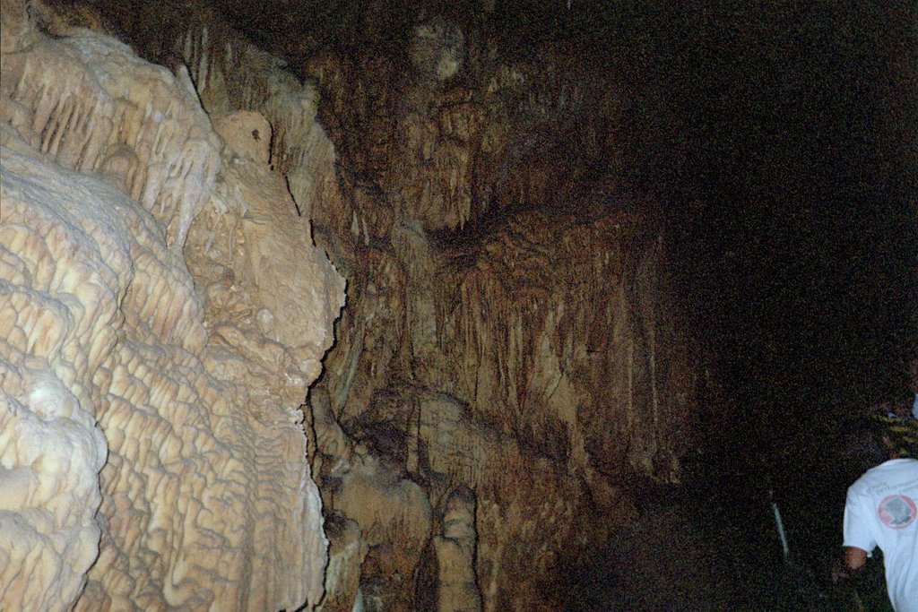 Formation in Mammoth Cave  Mammoth Cave, Ky. by Walter Lester