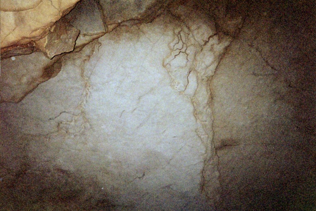 Rock formation in Mammoth Cave  Mammoth Cave, Ky. by Walter Lester