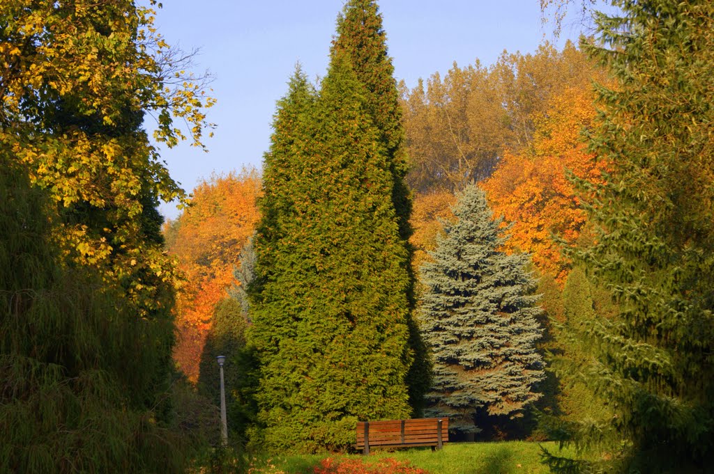 Jesień w chorzowskim parku by Andrzej Koniarek