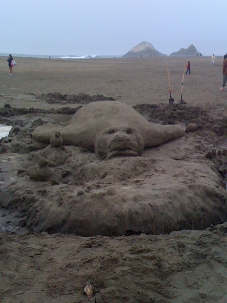 Annual Sandcastle Building in SF. by rwall2day