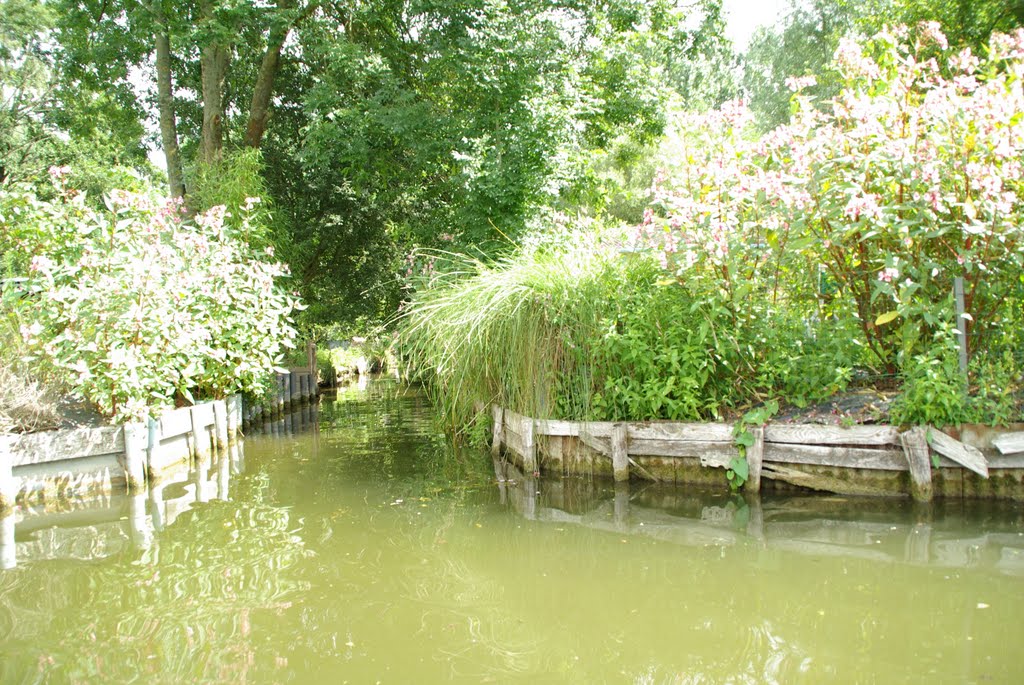 Amiens by gonzague