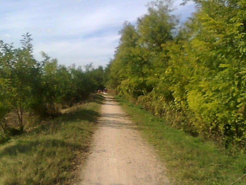 Vigonovo, Metropolitan City of Venice, Italy by sa.alex