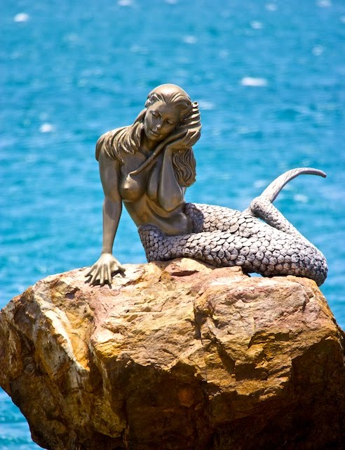 MERMAID's OF DAYDREAM ISLAND WHITSUNDAYS QLD by Zenn Maar