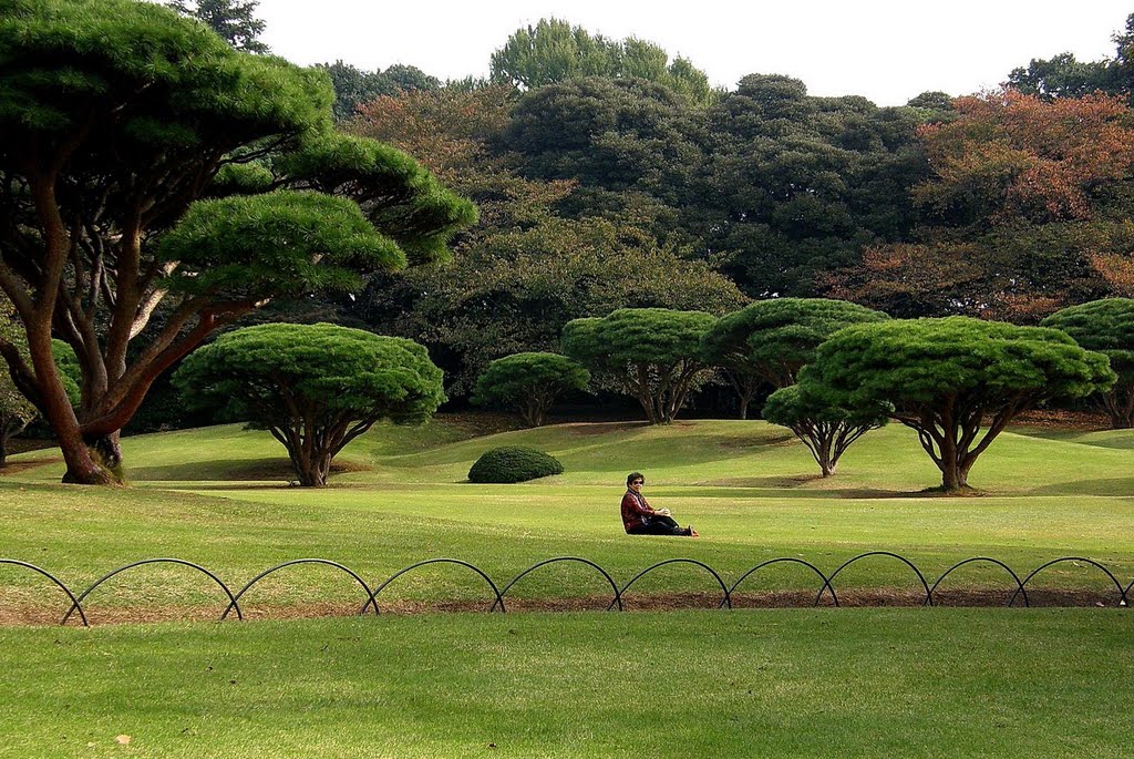 東京 新宿 御苑 Imperial Garden,Shinjuku,Tokyo,Japan by Percy Tai  漆園童