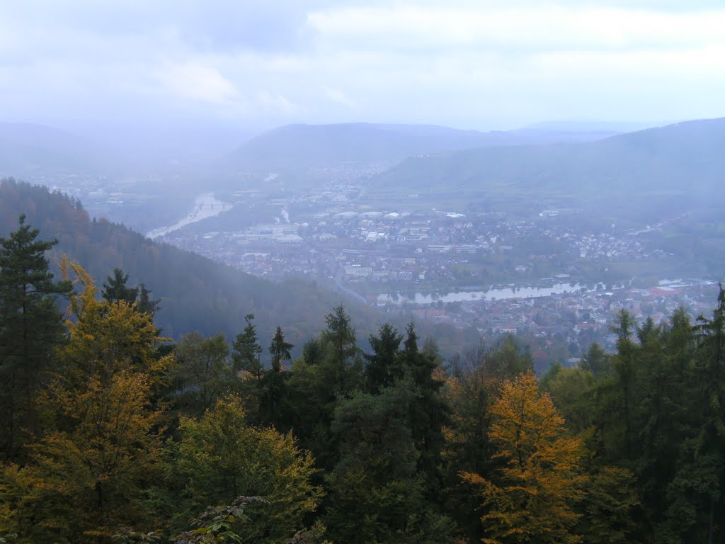 Herbst am Grauberg mit Blick über Miltenberg, 10/2010 by Heiko Roth