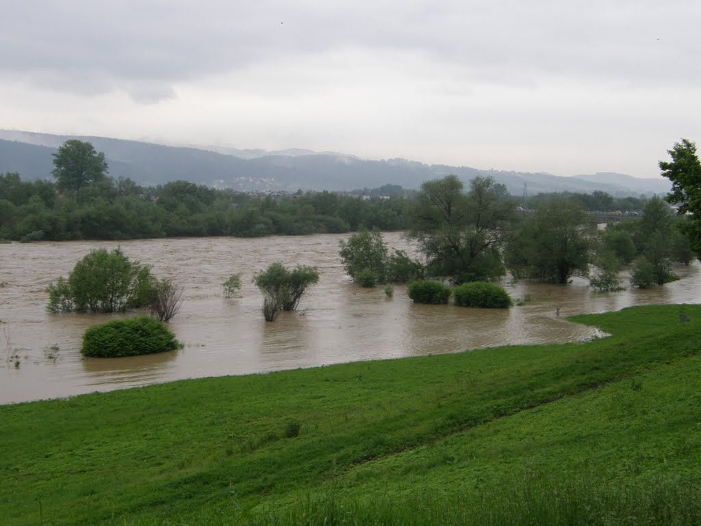 DUNAJEC W N. SĄCZU by tadekpta