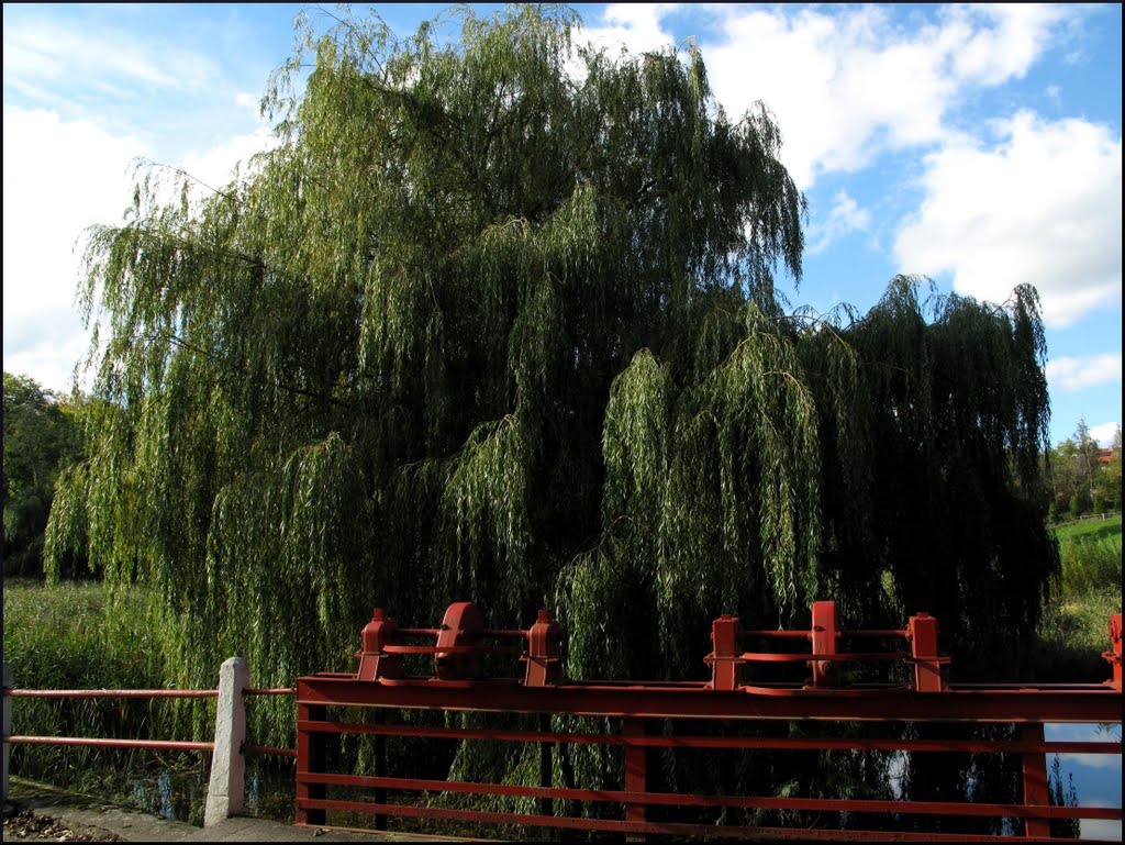 Helmstorf bei Luetjenburg, (Germany) by LoopGun