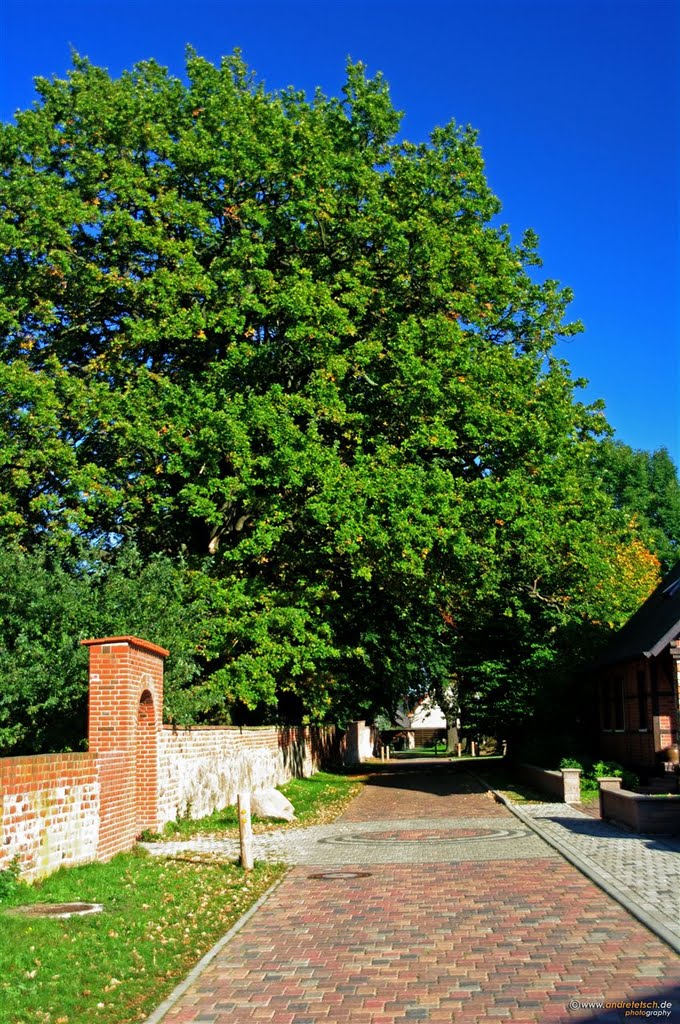 Diesdorf/Altmark by (c) André Tetsch Photography