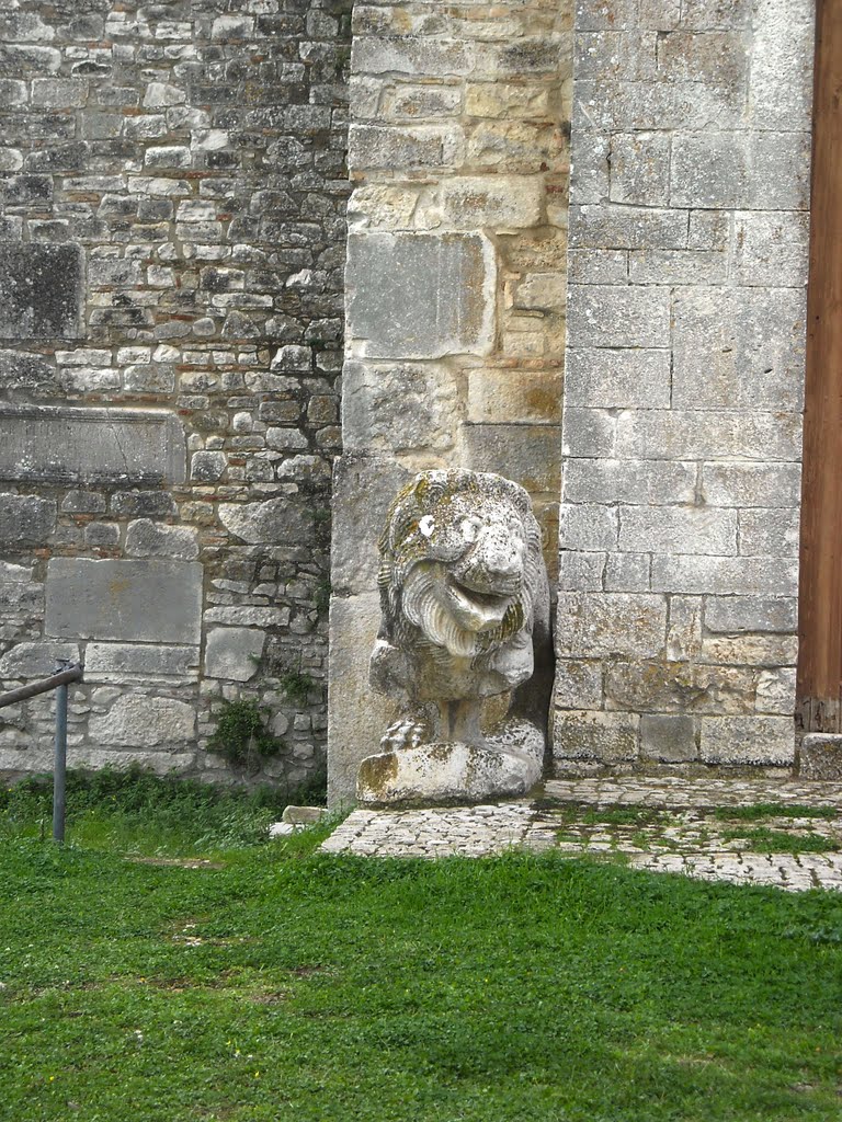 Venosa, leone posto sulla sinistra del portale della Chiesa vecchia della SS. Trinità. Gli stessi leoni erano posti all'ingresso della Cattedrale di Santa Maria Maggiore a Barletta negli anni '60. Chissà dove sono finiti ora! by ginovitrani