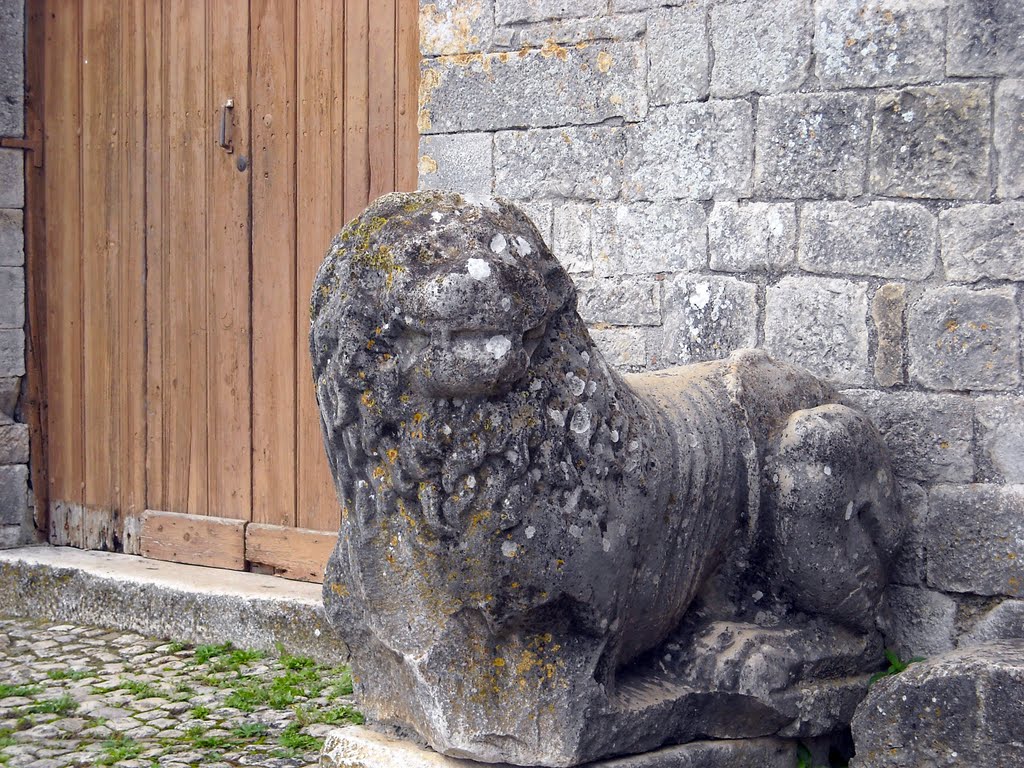 Venosa, leone posto alla sinistra del portale della Chiesa della SS. Trinità. Questo magnifico leone mi ricorda la mia infanzia quando giocavo a cavalcioni sui leoni del nostro Duomo a Barletta by ginovitrani