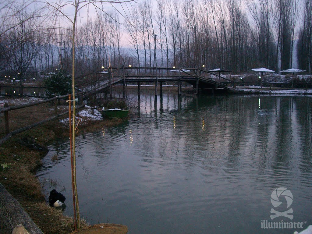 Ducks in a Park by Andreas Kakaris