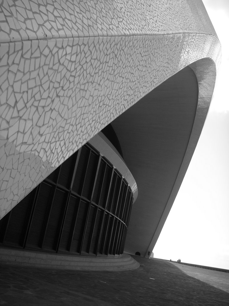 Calatrava's Building by baag