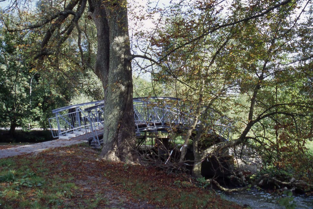 Neue Brücke, umgeben von Kastanienbäumen, auf der Liebesinsel in Abensberg - Bayern by PetraStoll