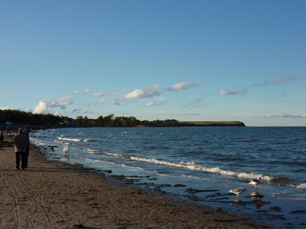 Boltenhagen Strand by © Jan Papenfuß