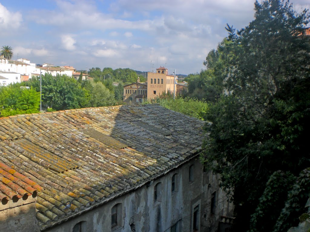 Sant Pere de Riudebitlles by joan miquel