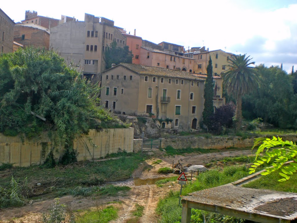 Sant Pere de Riudebitlles by joan miquel