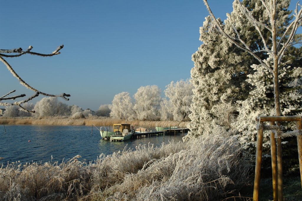 Hafen im Winter by tom24000