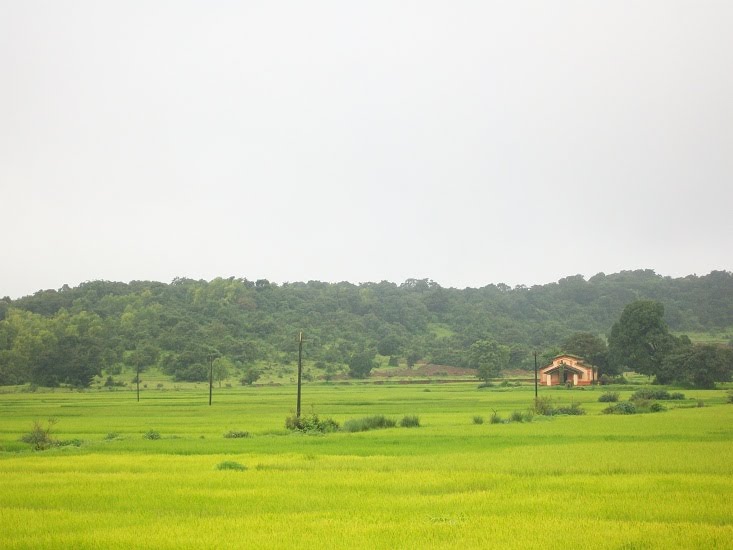 Kankumbi monsoon beauty by vivekgawade