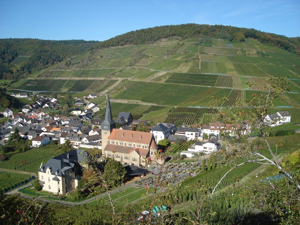 Blick auf Mayschoß vom Rotweinwanderweg (RWWW) by K-D Heinrich