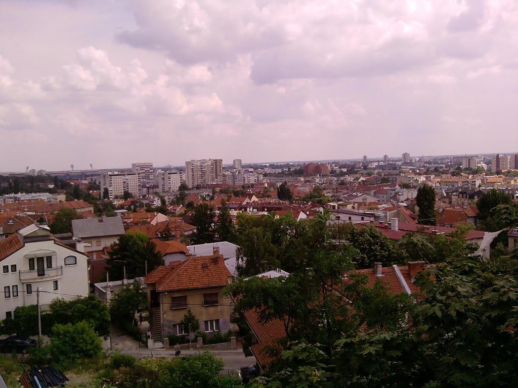 Pogled s bolnice Merkur prema Maksimiru by Frane Lovošević