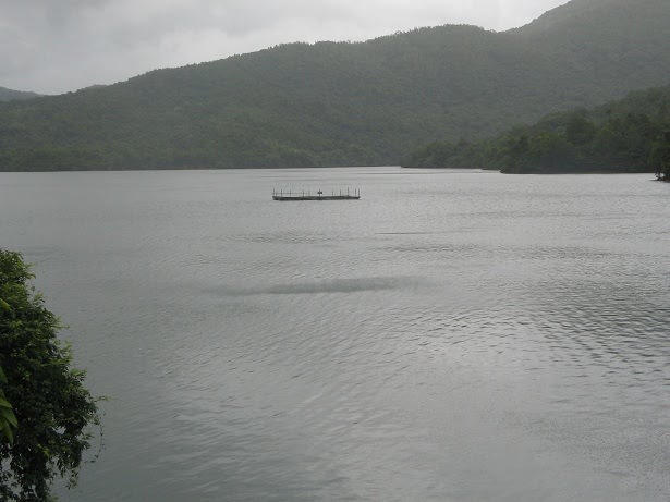 Anjuna dam by vivekgawade