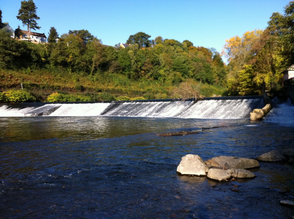 Morning on the Taff by Skusey1