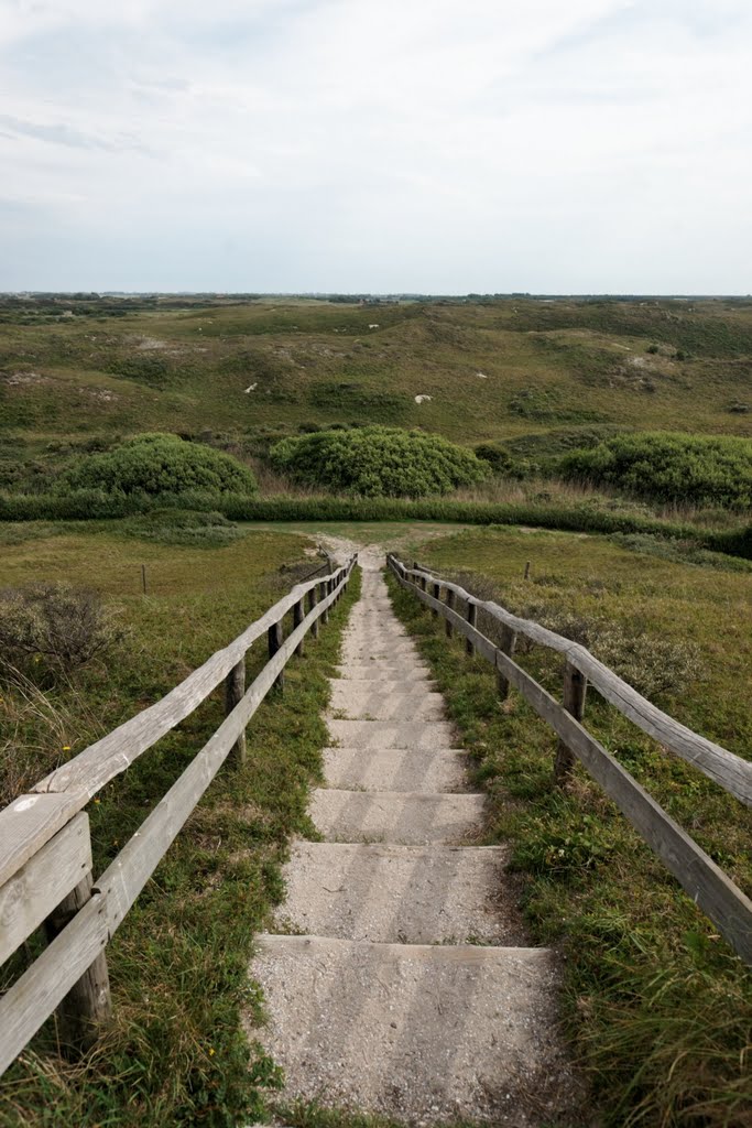 Texel - De Nederlanden - Bertusnol - View South by txllxt TxllxT