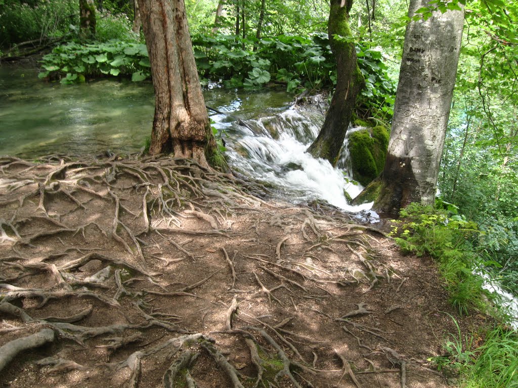 Chorvatsko, Plitvicka jezera by standa.siva