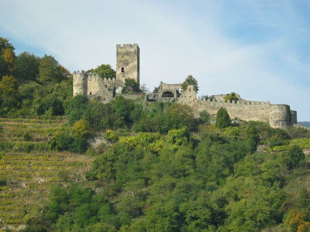 Ruine Hinterhaus at Spitz along the Donau by flower753