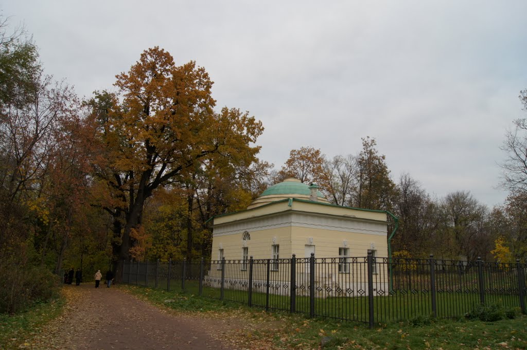 Kuzminki District, Moscow, Russia by Владислав П