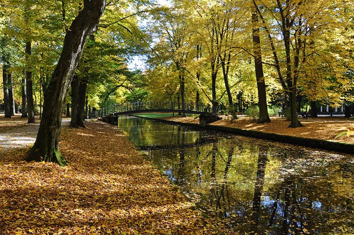 Canal im Hofgarten by Pavlo Dyban