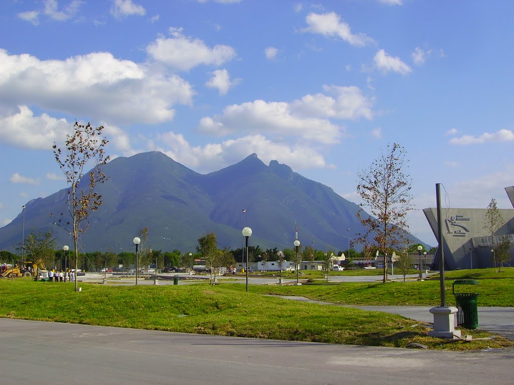 El cerro de la silla by sossa