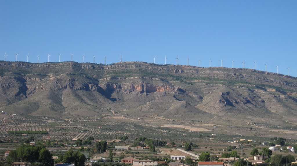 La Sierra Oliva desde el mirador de Santa Ana by Alfonso Tornero