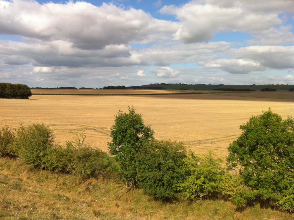 A view from the Stone Circle at Avebury by Skusey1