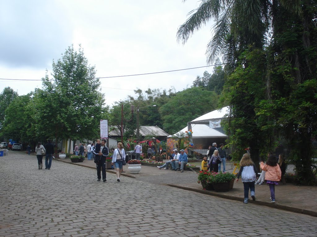 Feira das Flores by mauricioantonioweber