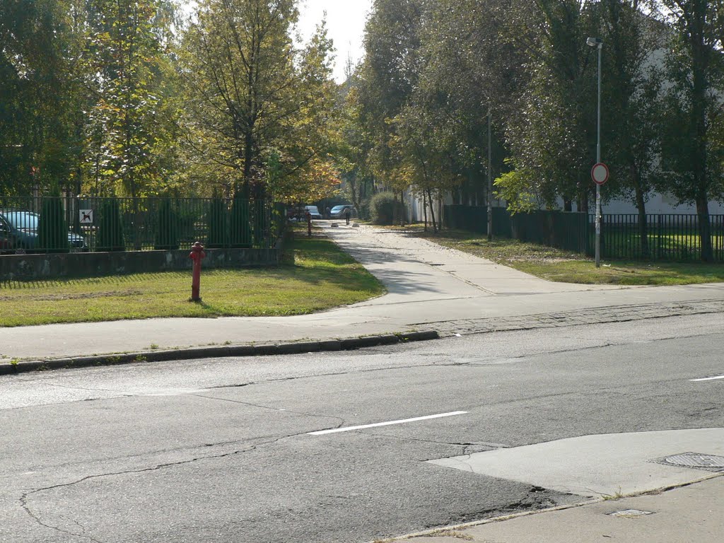 A Farkaserdő utcából a Bőrfestő utca felé nézve by palyatars