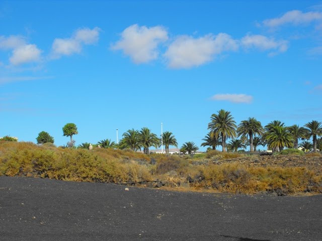 COSTA TEGUISE AV DOS COCEDEROS by Tyne Decca