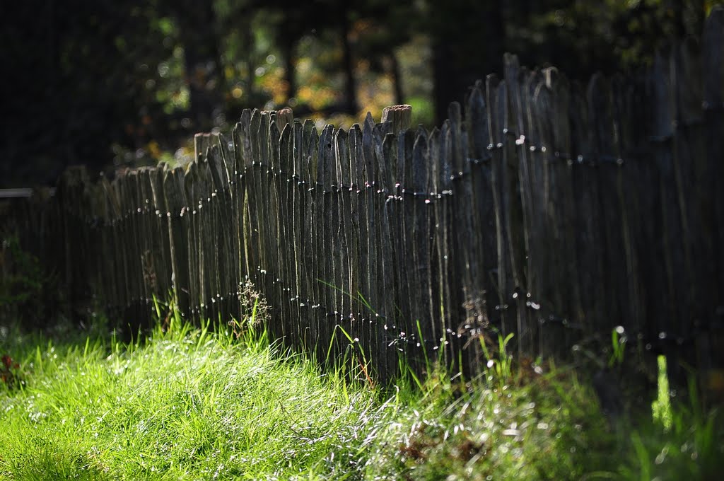 Fence in the forest by Javerburg