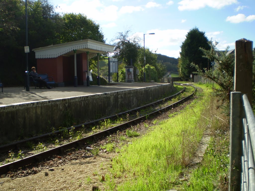 Calstock Railway Station 1 by marky7890