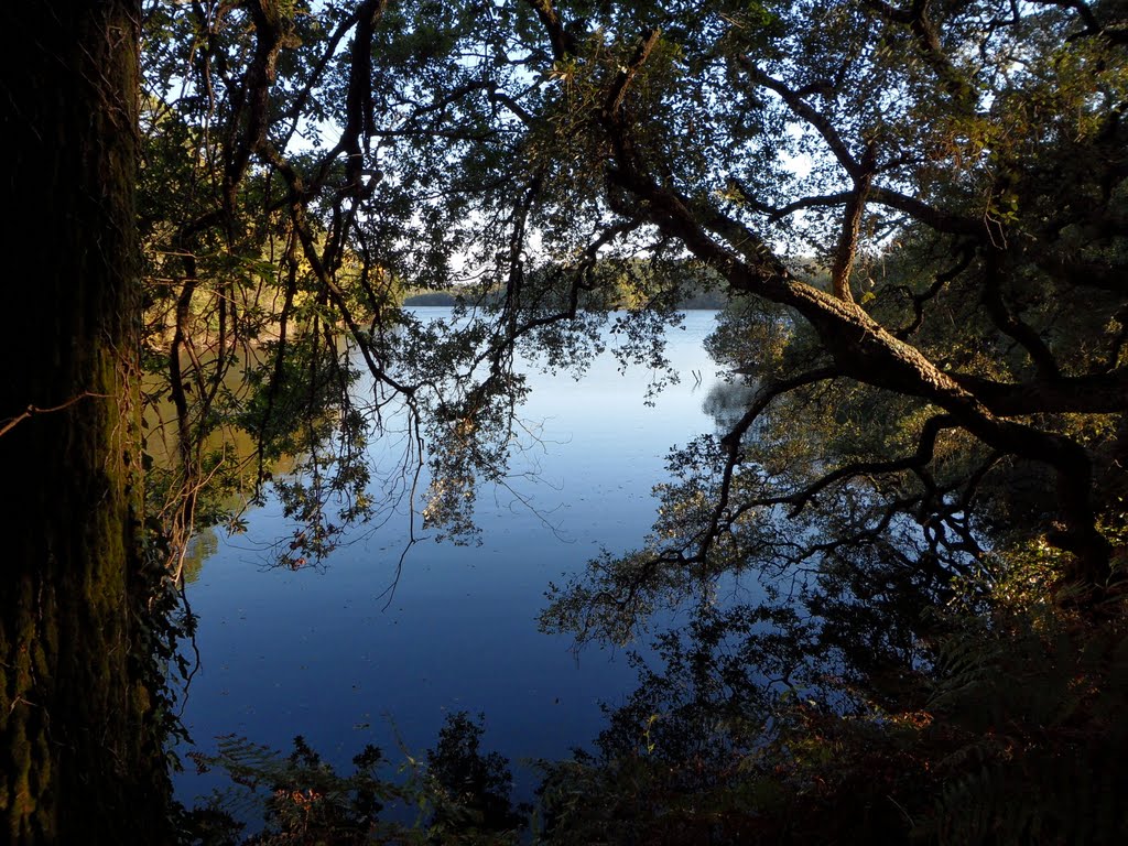 Le lac by david ollagnon