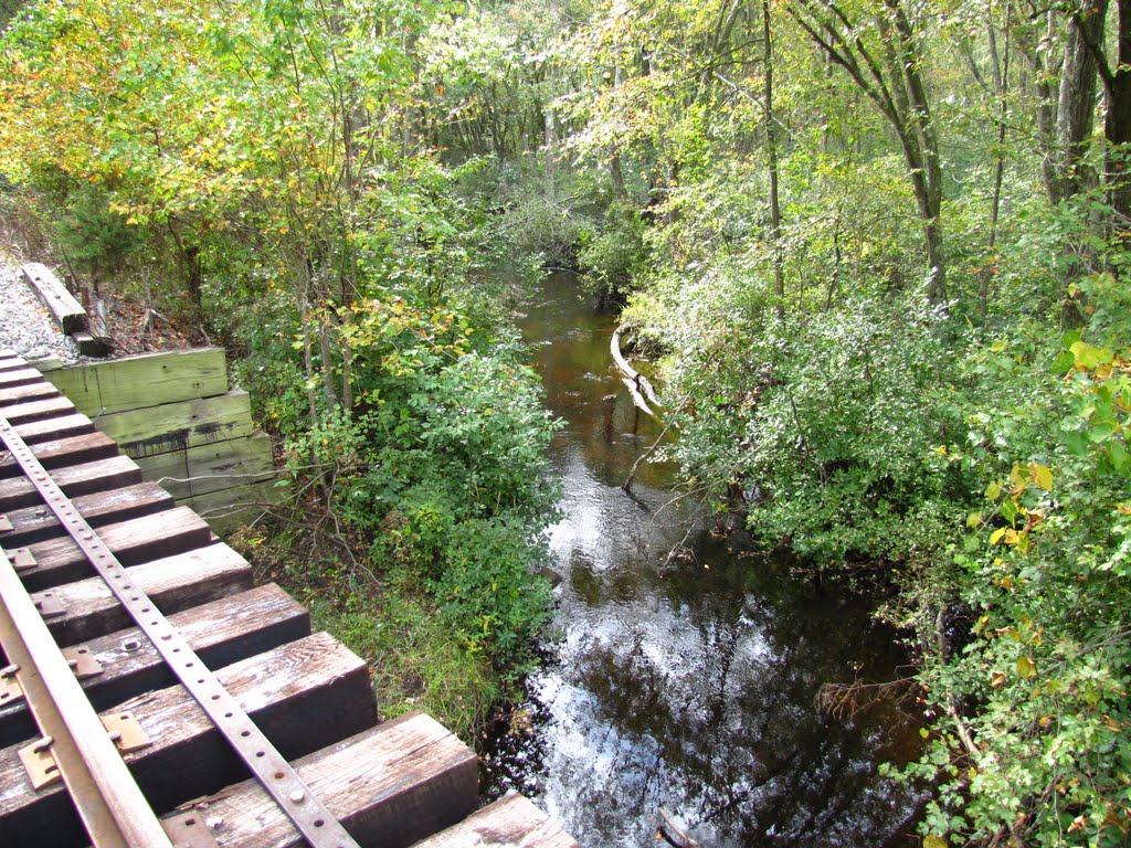 Cedar Lake Branch Downstream from Jersey Central Lines Trestle by Chris Sanfino