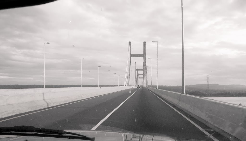 Puente Río Orinoco by robertacaixeta