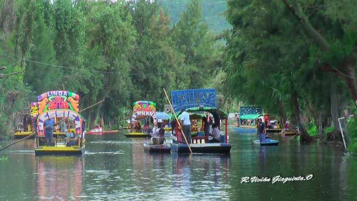 Paisaje Xochimilco by Vivián Giaquinta