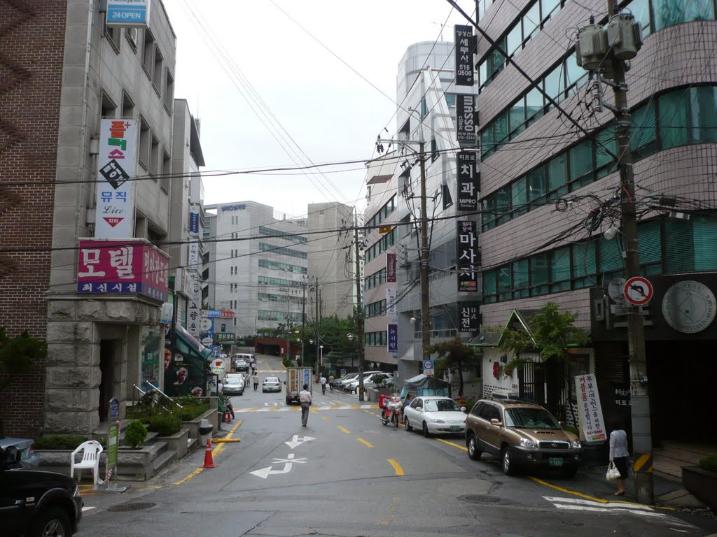 Street of Chungdam 청담동 거리 by plumgarden