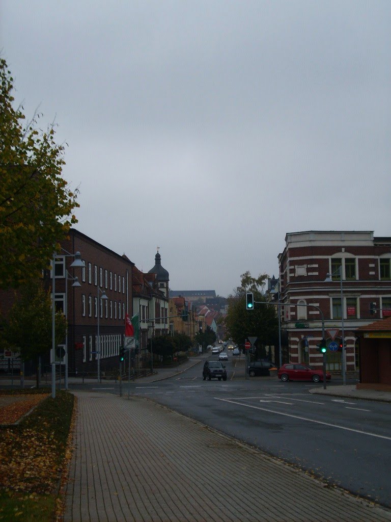 Kaltenbomer Weg, Blick in die Rudolf-Breitscheid Straße, 2010 by Bogenmann