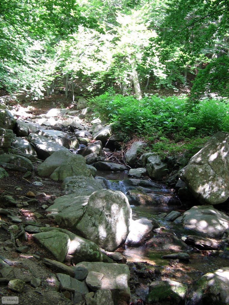 Parc Natural del Montseny. Catalunya by STONA