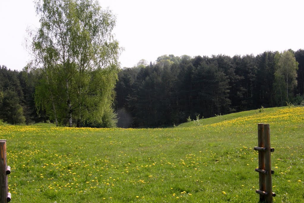 Rumšiškės - Rumszyszki muzeum budownictwa ludowego (open-air ethnographic museum) by Jerzy I.