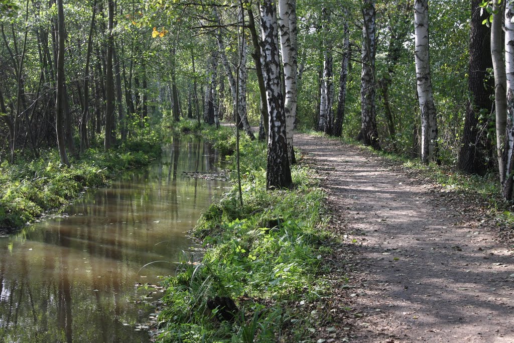 Im Spreewald by Marathoni62