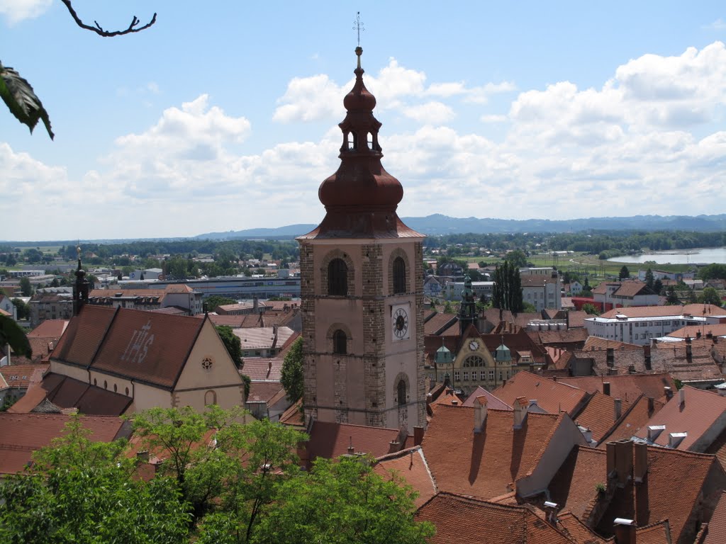 Ptuj ( Slovenia ) : Veduta dal castello by Silvano Rossi